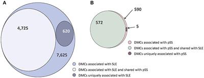 Shared and Unique Patterns of DNA Methylation in Systemic Lupus Erythematosus and Primary Sjögren's Syndrome